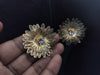 ANTI TRANISH EARRING
